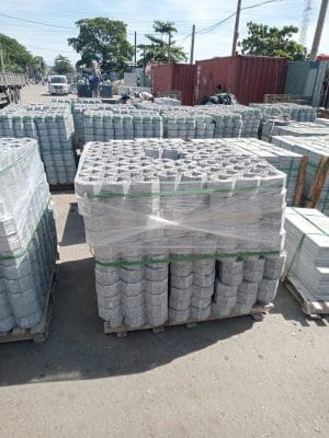 gạch trồng cỏ hình thực tế