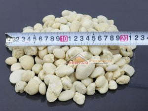 kích thước sỏi cuội tự nhiên màu trắng ngà 2cm