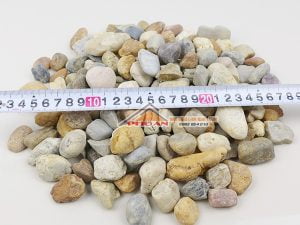 sỏi cuội nhiều màu lẫn lộn kích thước 1 đến 2cm